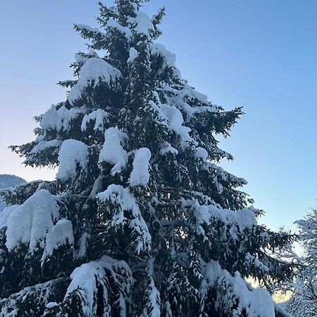 Chalet La Poipia Beaufort  Zewnętrze zdjęcie