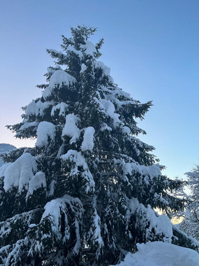 Chalet La Poipia Beaufort  Zewnętrze zdjęcie